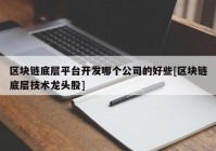 区块链底层平台开发哪个公司的好些[区块链底层技术龙头股]